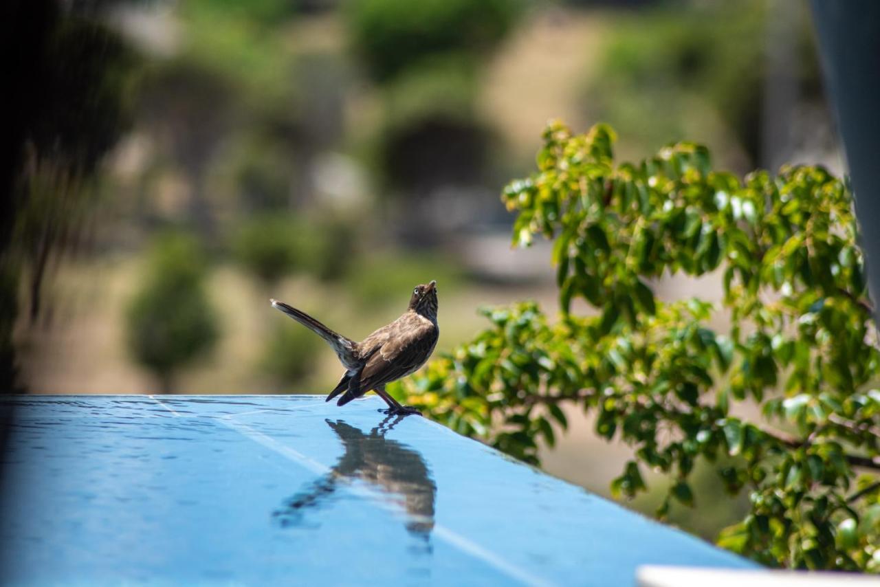 Les villas de Sweet Hill Salines Buitenkant foto
